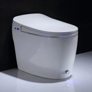 Bồn Cầu Thông Minh Cao Cấp NENCY "NC 2800"